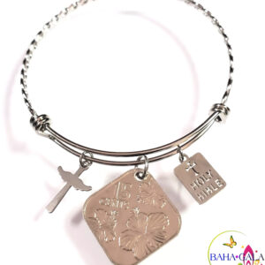 Bahamian Coin "Inspire" Stainless Steel "Butterfly Twist" Adjustable Bangle.