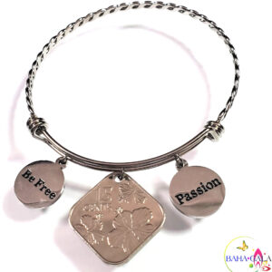 Bahamian Coin "Inspire" Stainless Steel "Butterfly Twist" Adjustable Bangle.