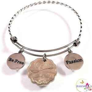 Bahamian Coin "Inspire" Stainless Steel "Butterfly Twist" Adjustable Bangle.