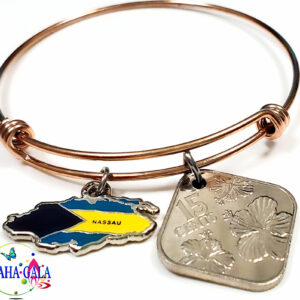 The Elegant Coin & "Providence " Charm Bangle.