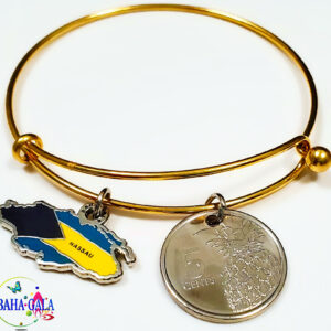 The Lovely "Providence" Charm & Coin Bangle.