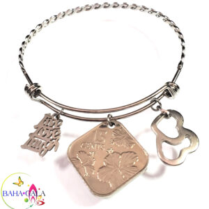 Bahamian Coin "Inspire" Stainless Steel "Butterfly Twist" Adjustable Bangle.