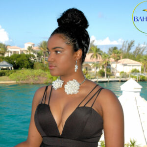 Glass Pearls & Crystals"Princess" Necklace & Earring Set