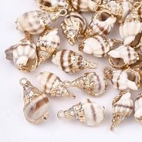 Spiral Conch Shell w/18k Gold Plated Trim
