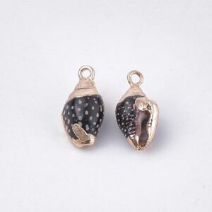 Black Spotted Conch Shells w/18k Gold Plated Trim