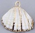 Electroplated Gold & White Natural Scallop Shell