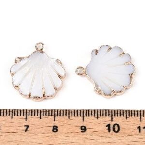 Mother of Pearl Clam Shell