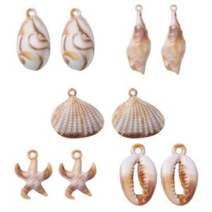 Acrylic Cowrie Shell