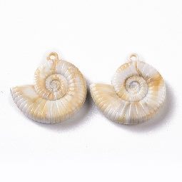 Acrylic Nautilus Conch Shell