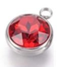 Stainless Steel Garnet (January) Birthstone