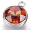 Stainless Steel Topaz (November) Birthstone