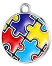 Autism Awareness "World" Charm